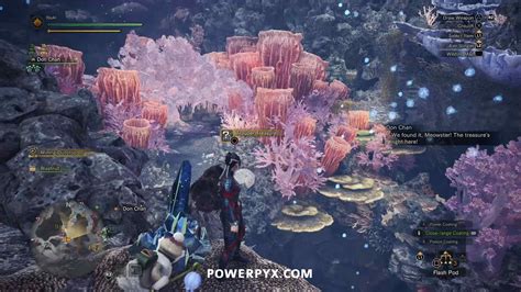 tailraider|coral highlands tailraiders.